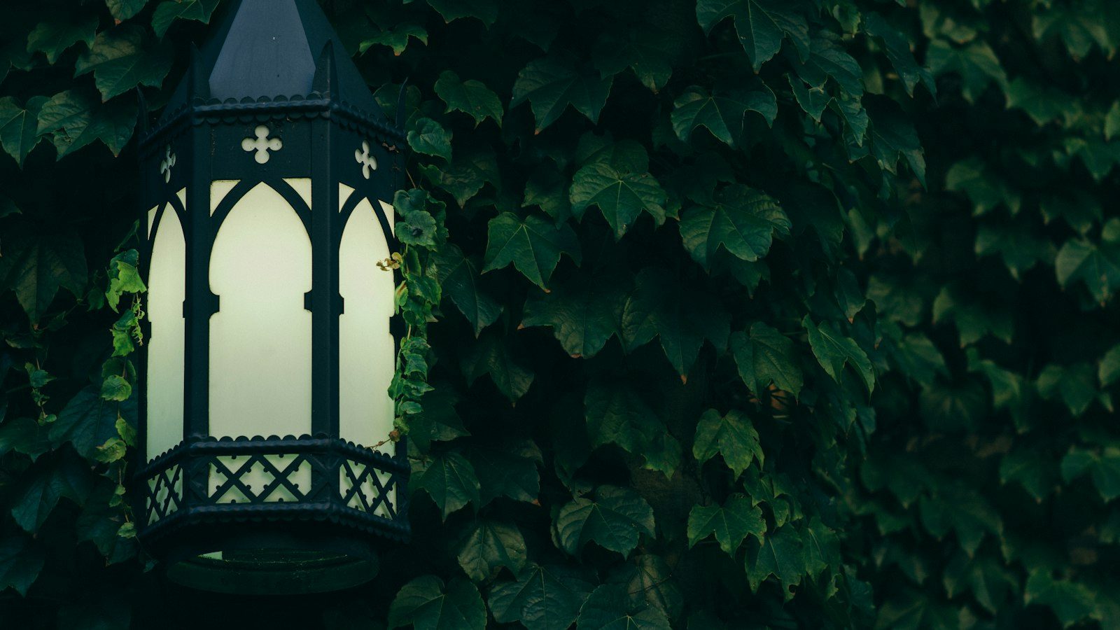 Black lantern with pointed arch glass panels on a wall covered in green creeper