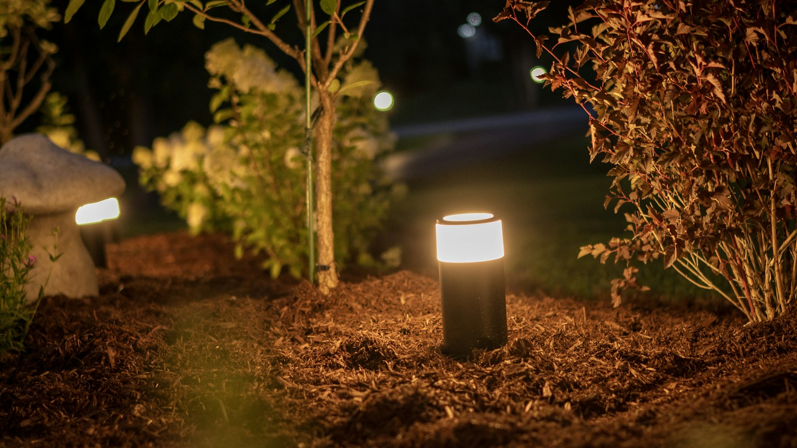 Warm path lights spaced through trees at night